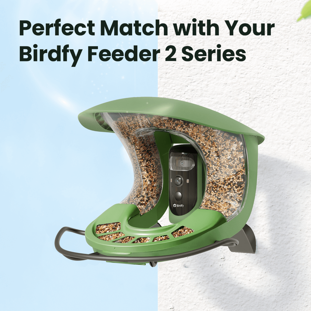 Birdfy Metal Seed Guard - A solid metal guard customized for Birdfy Feeder 2 Series