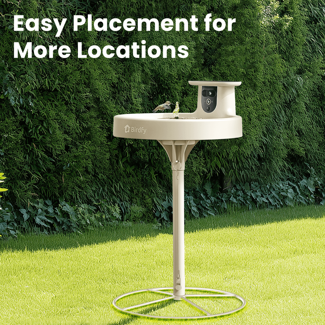 Birdfy Bath Pro Stand