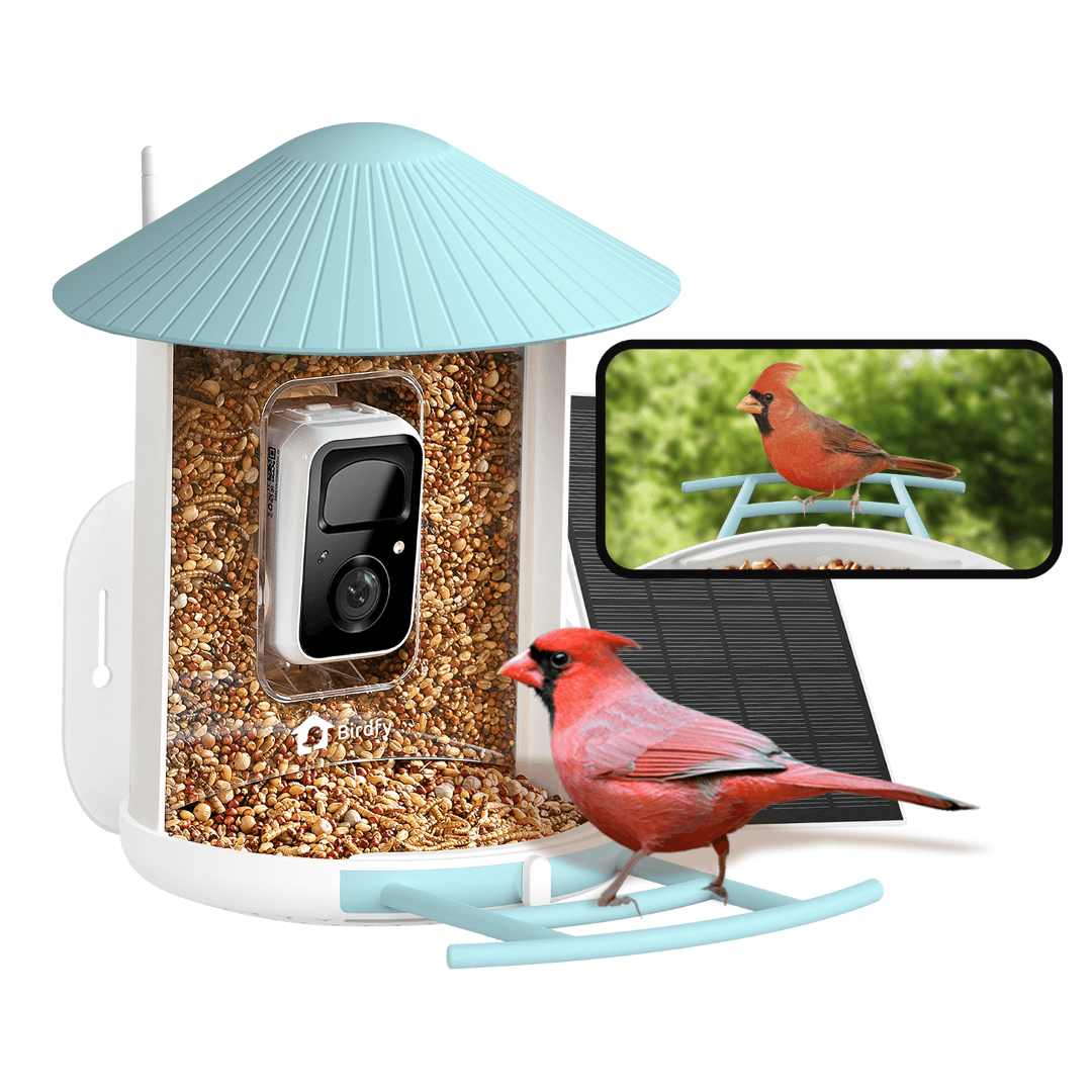 Birdfy Feeder with Solar Panel - Solar Powered Bird Feeder Camera