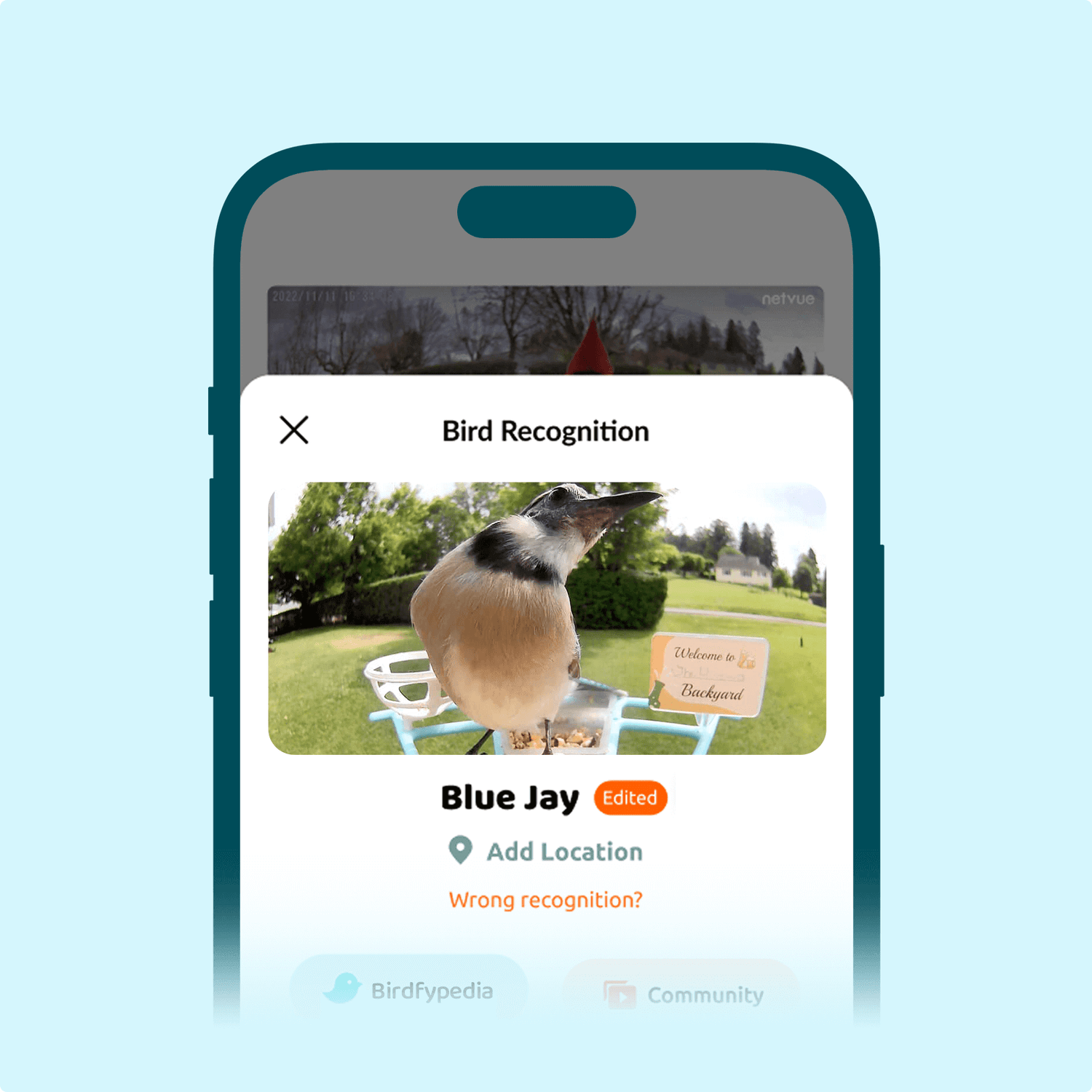 AI Bird Recognition Subscription Plans