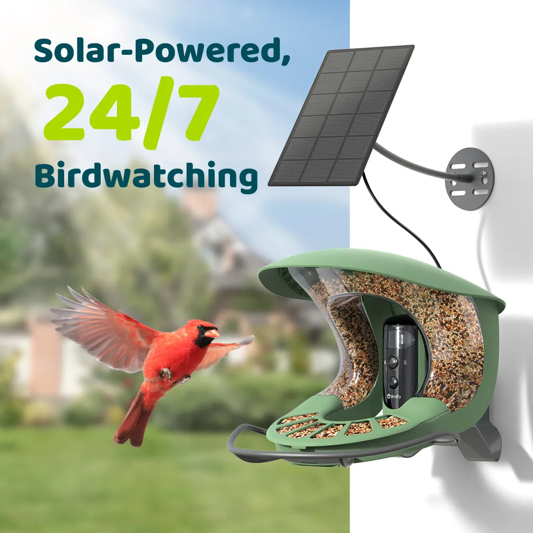 Birdfy feeder2 pro