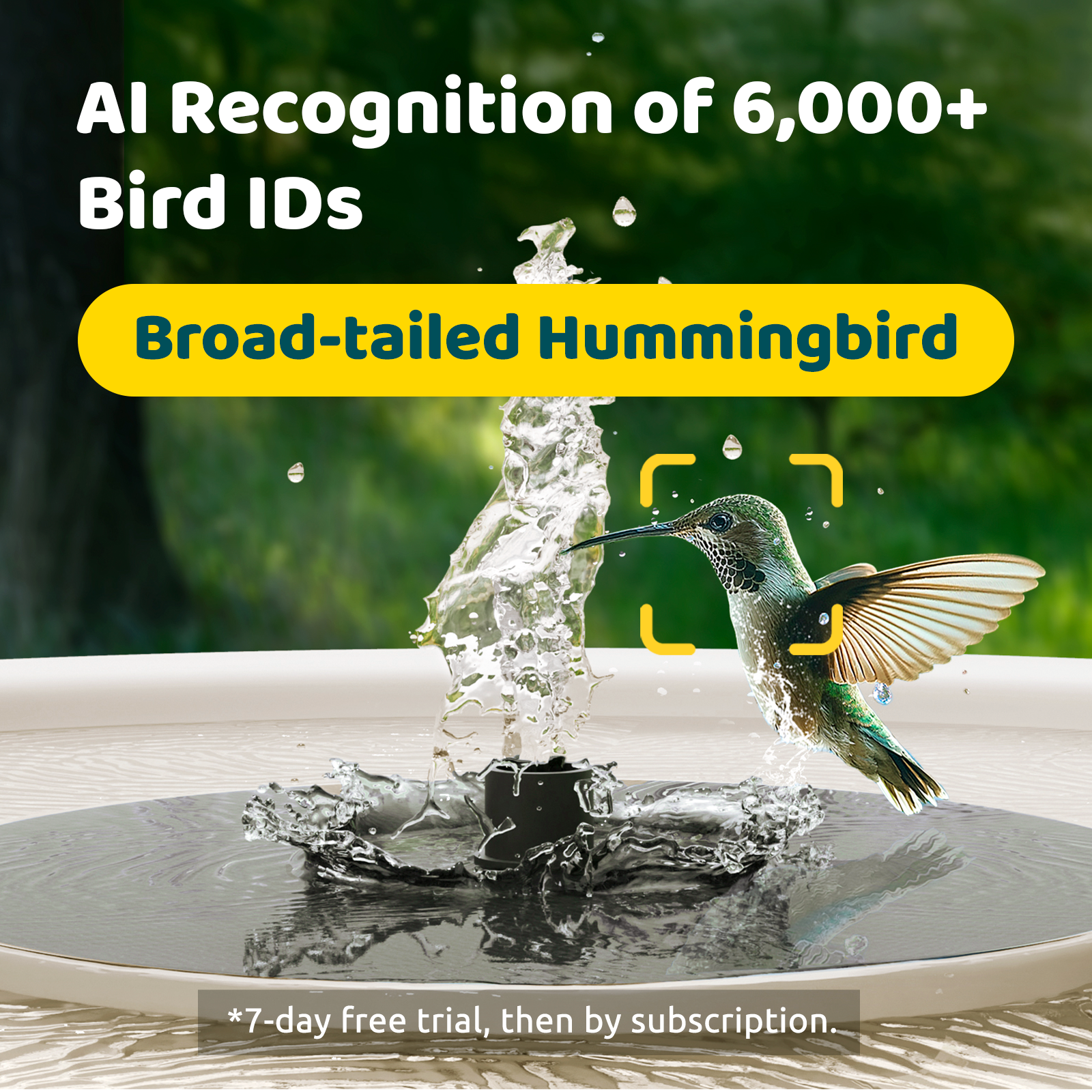 Birdfy Bath Pro - Solar-Powered Smart Birdbath with Fountain
