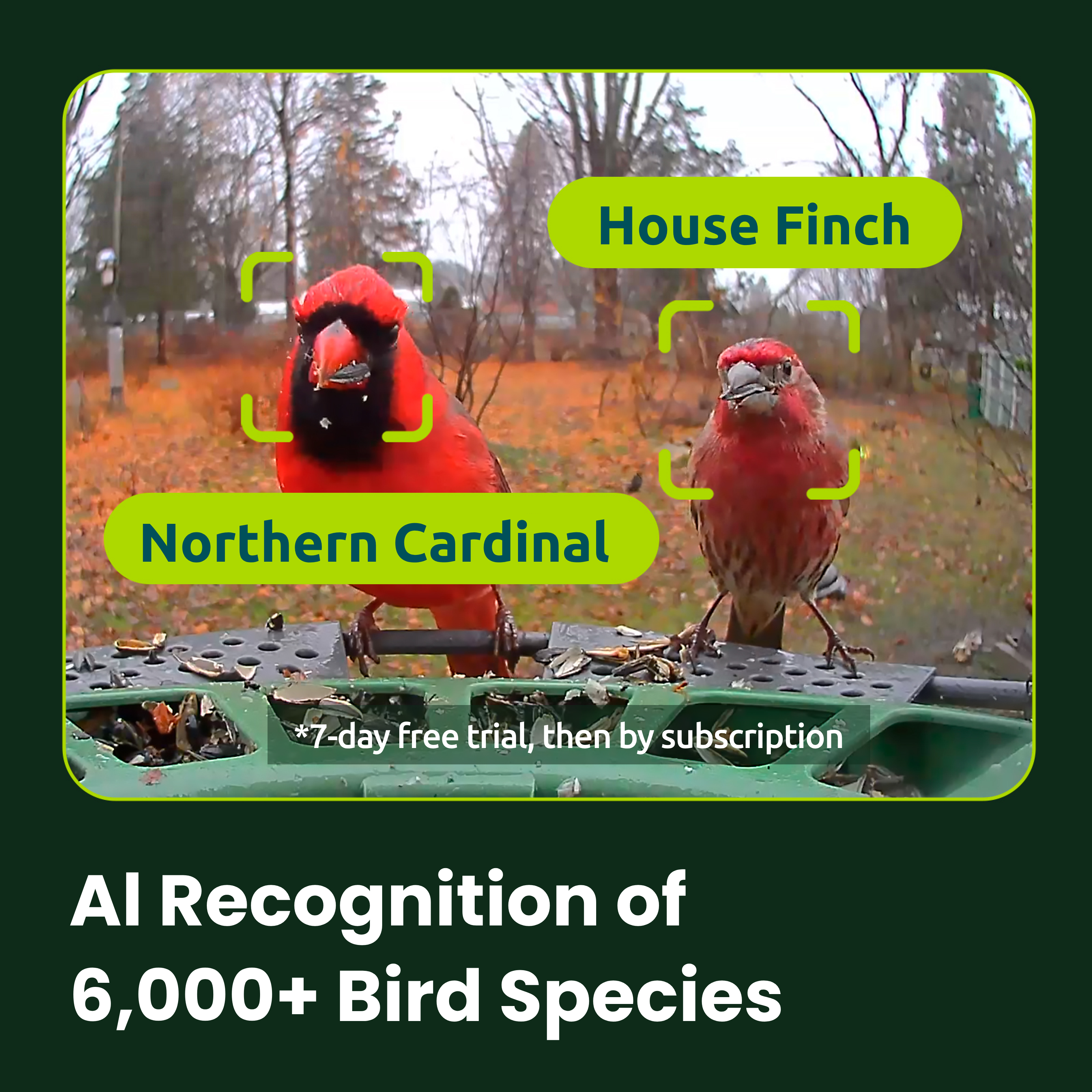 Birdfy Feeder 2 - Smart Bird Feeder
