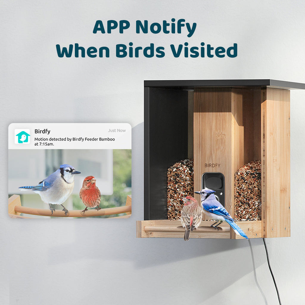 Birdfy Feeder Bamboo - Upgrade Smart Bird Feeder with Eco-friendly Mat