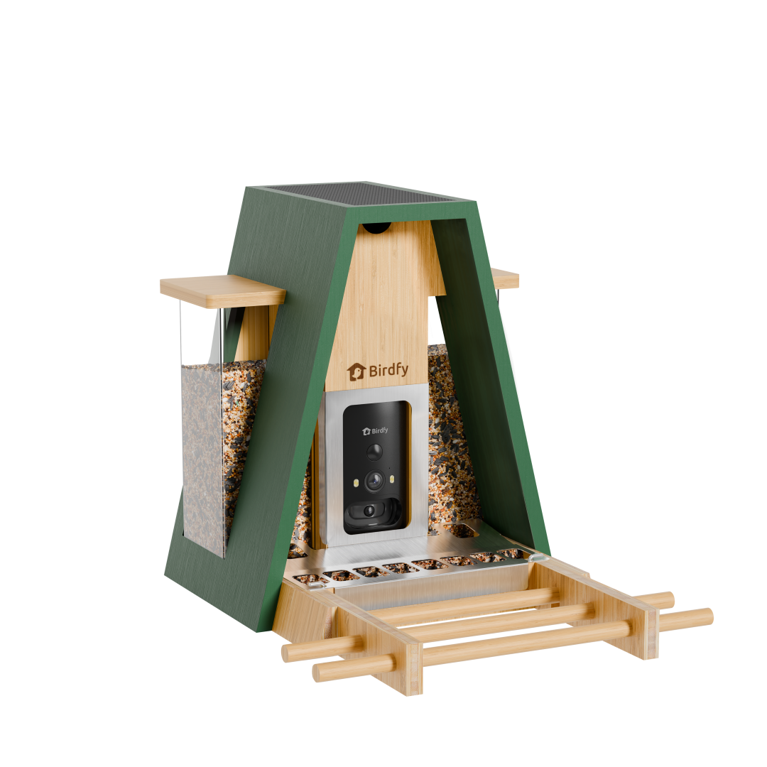 Birdfy Feeder Bamboo A Pro - Smart Metal Feeder with Camera