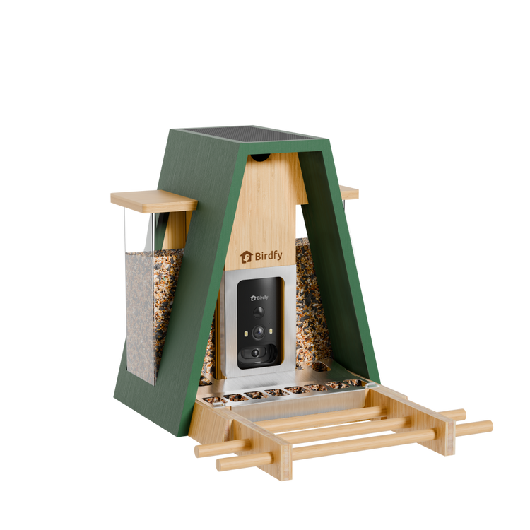 Birdfy Feeder Bamboo A Pro - Smart Metal Feeder with Camera