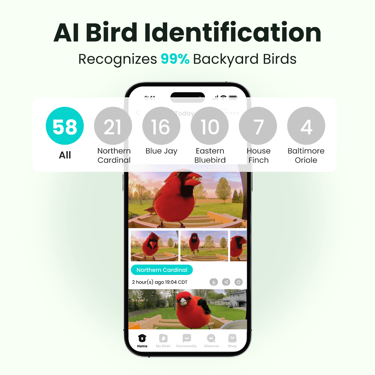 Birdfy Feeder Bamboo - Smart Bird Feeder with Eco-friendly Material