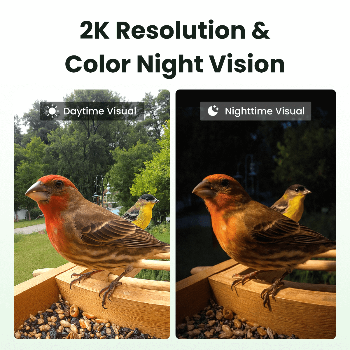 Birdfy Feeder Bamboo - Smart Bird Feeder with Eco-friendly Material