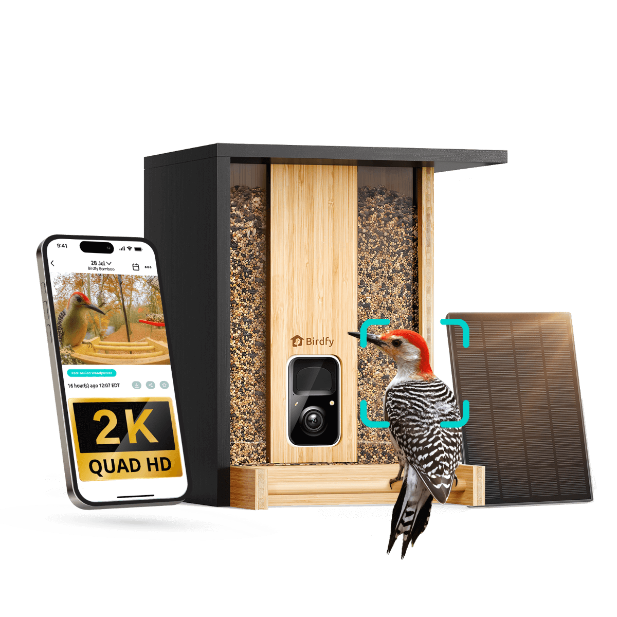 Birdfy Feeder Bamboo - Smart Bird Feeder with Eco-friendly Material