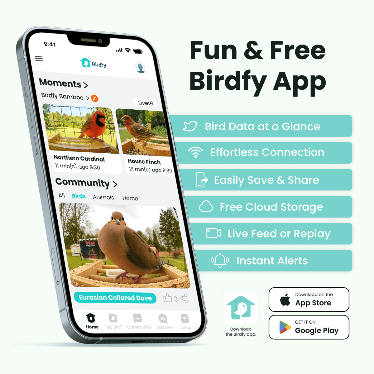 Birdfy Feeder Bamboo - Smart Bird Feeder with Eco-friendly Material