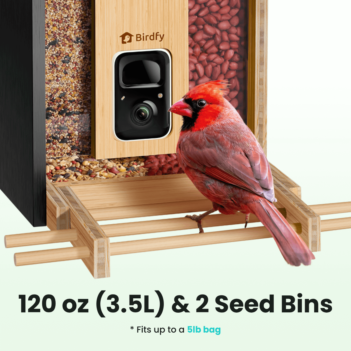 Birdfy Feeder Bamboo - Smart Bird Feeder with Eco-friendly Material