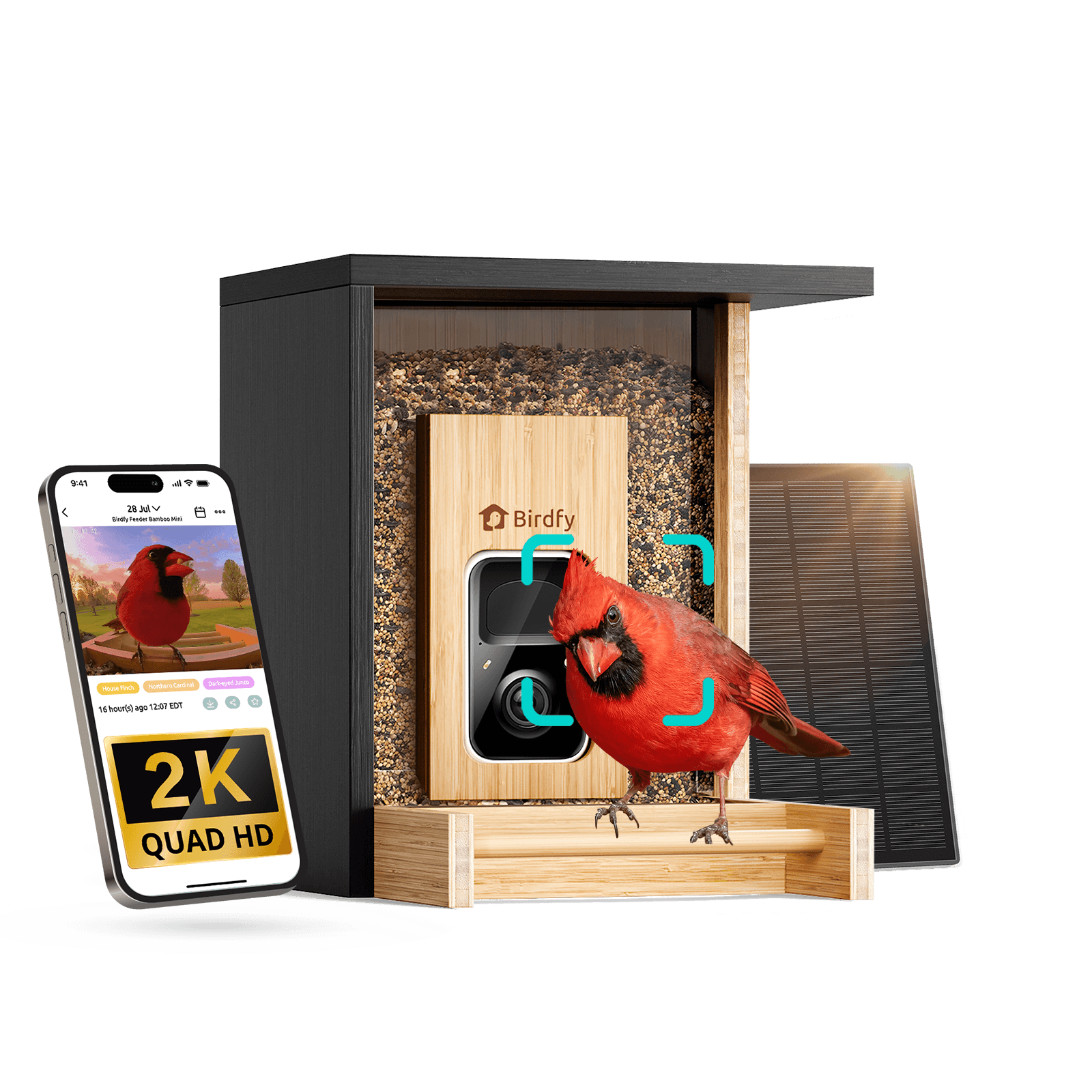 Birdfy Feeder Bamboo Mini - Bird Feeder With Camera