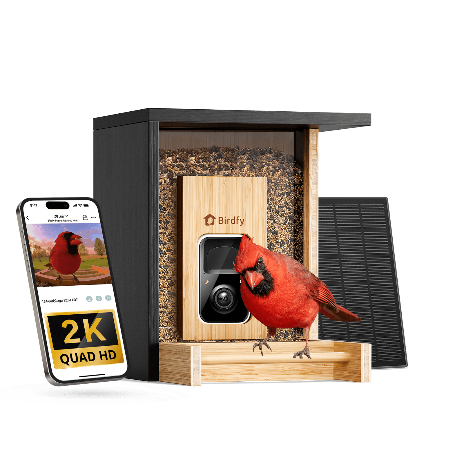 Birdfy Feeder Bamboo Mini - Bird Feeder With Camera