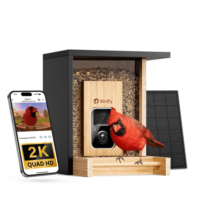 Birdfy Feeder Bamboo Mini - Bird Feeder With Camera