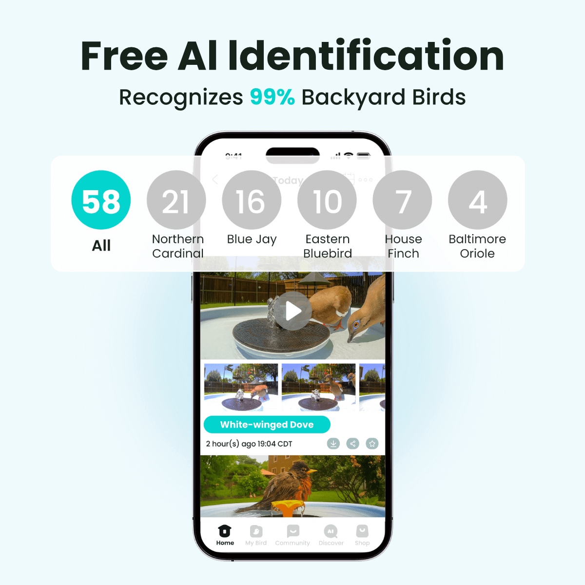 Birdfy Bath Pro - Solar-Powered Smart Birdbath with Fountain