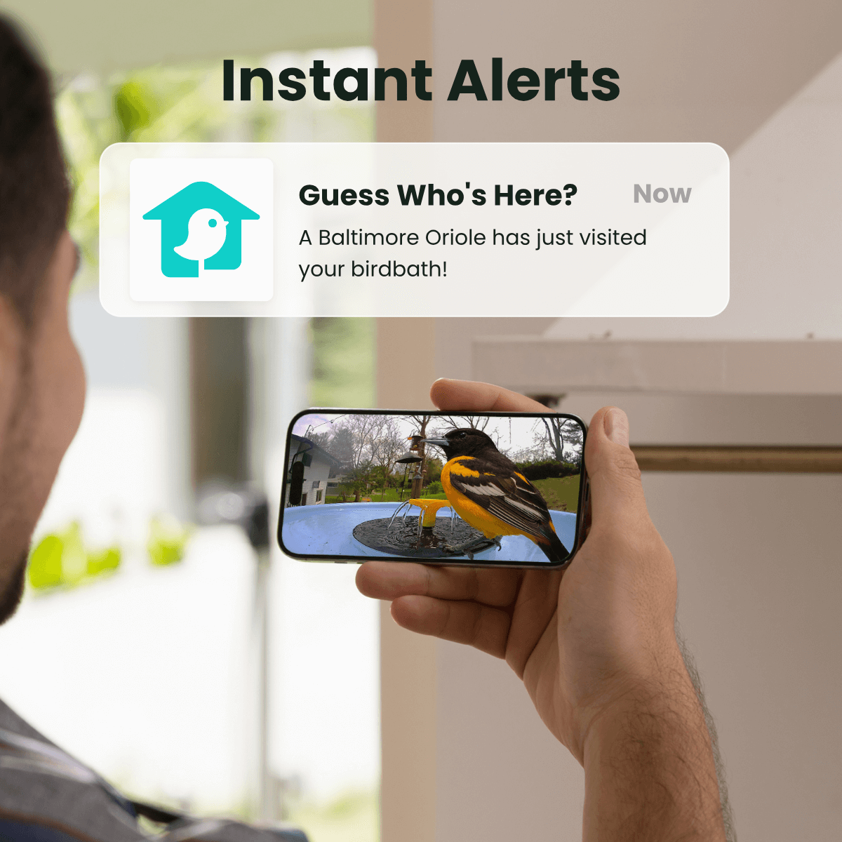 Birdfy Bath Pro - Solar-Powered Smart Birdbath with Fountain