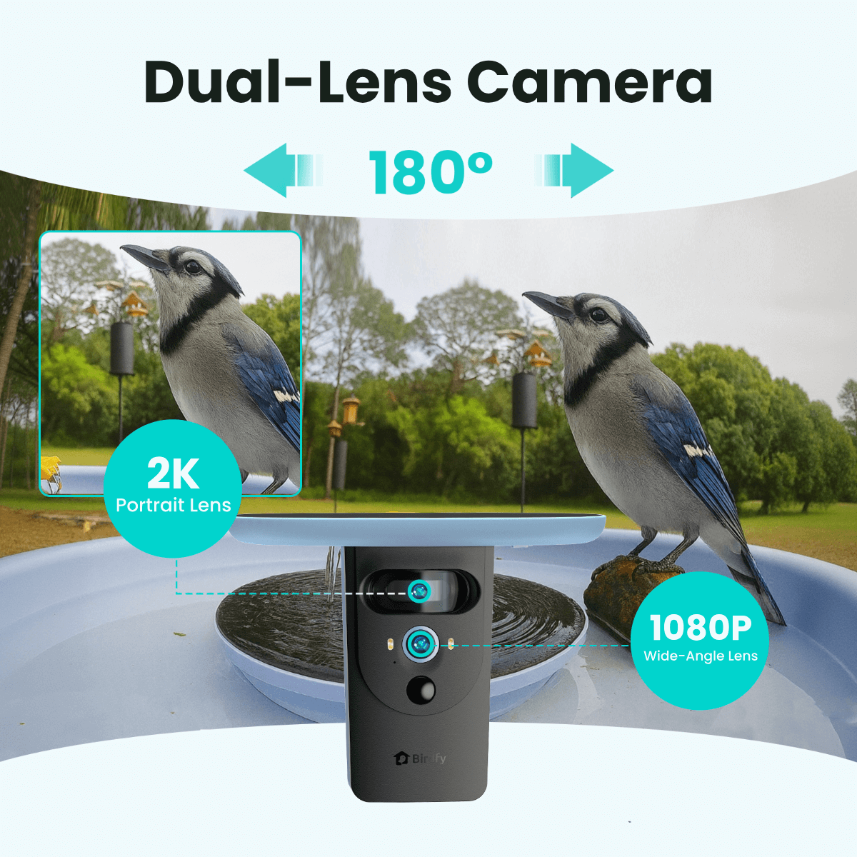 Birdfy Bath Pro - Solar-Powered Smart Birdbath with Fountain