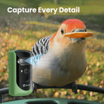 Birdfy feeder2 pro