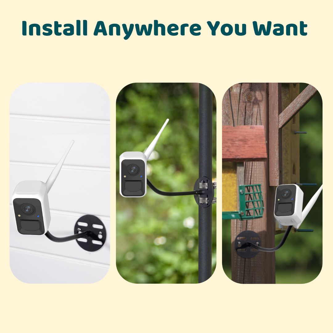 Birdfy Cam - Bird Feeder Cam