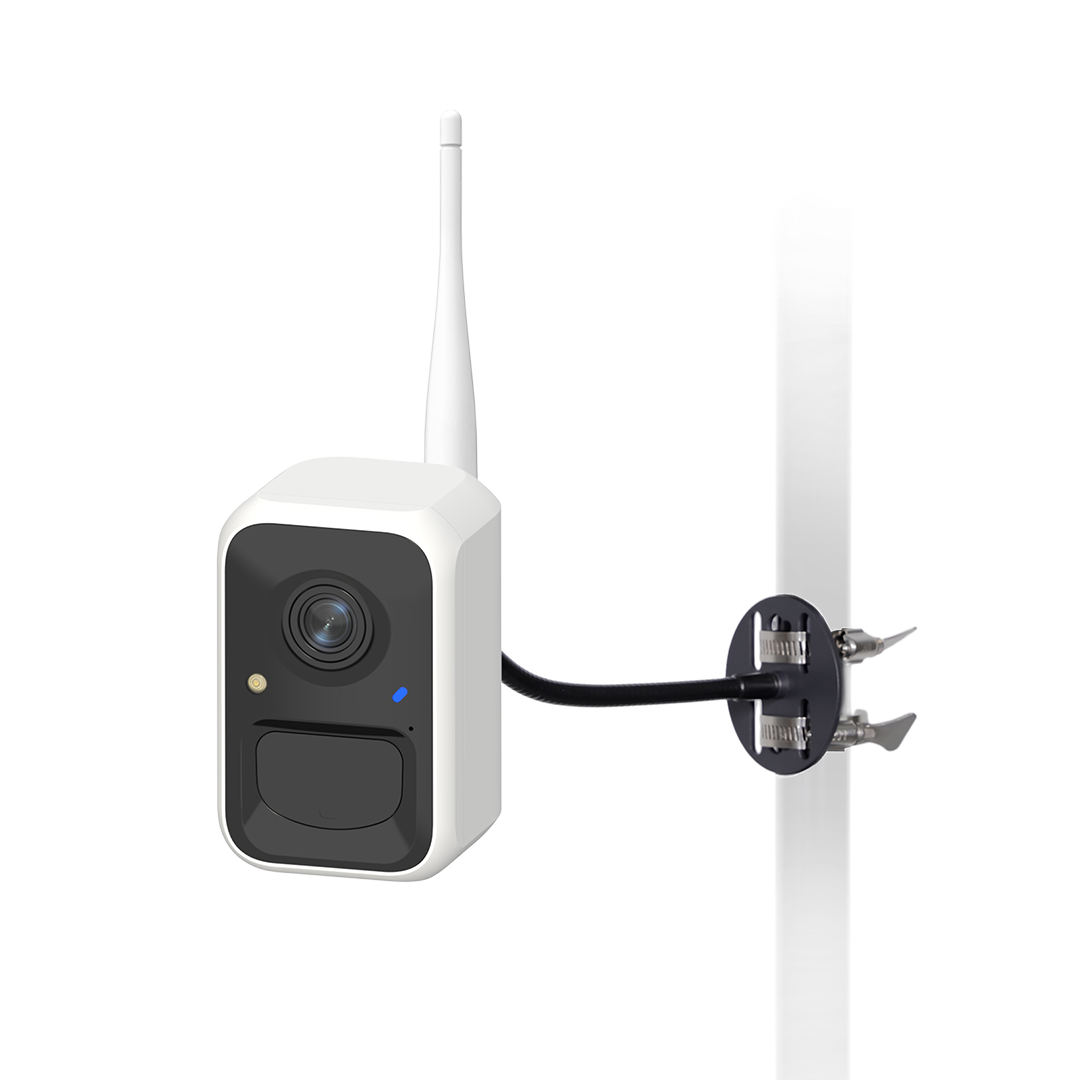 Birdfy Cam - Bird Feeder Cam