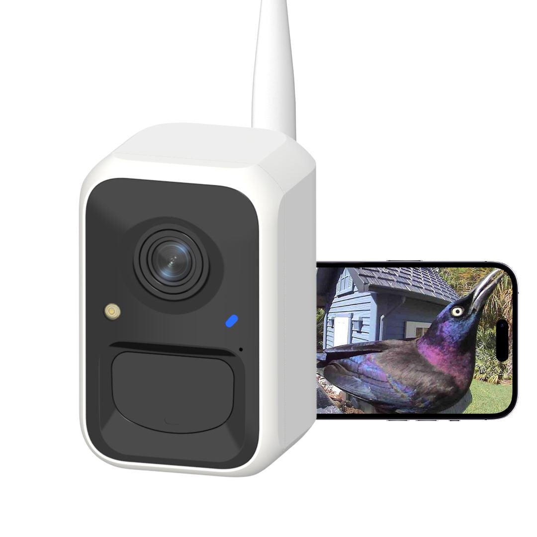 Birdfy Cam Motion Detection Bird Camera