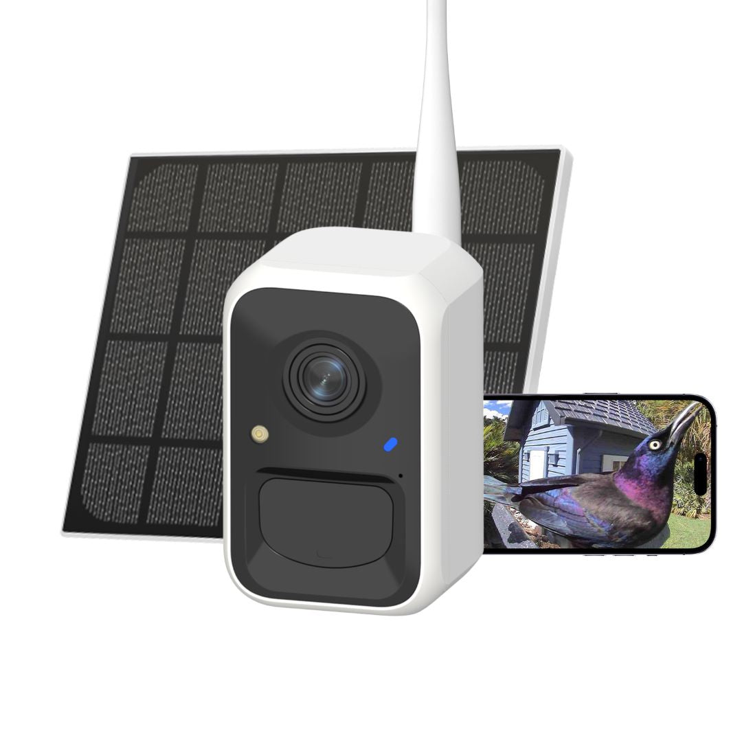 Birdfy Cam Motion Detection Bird Camera