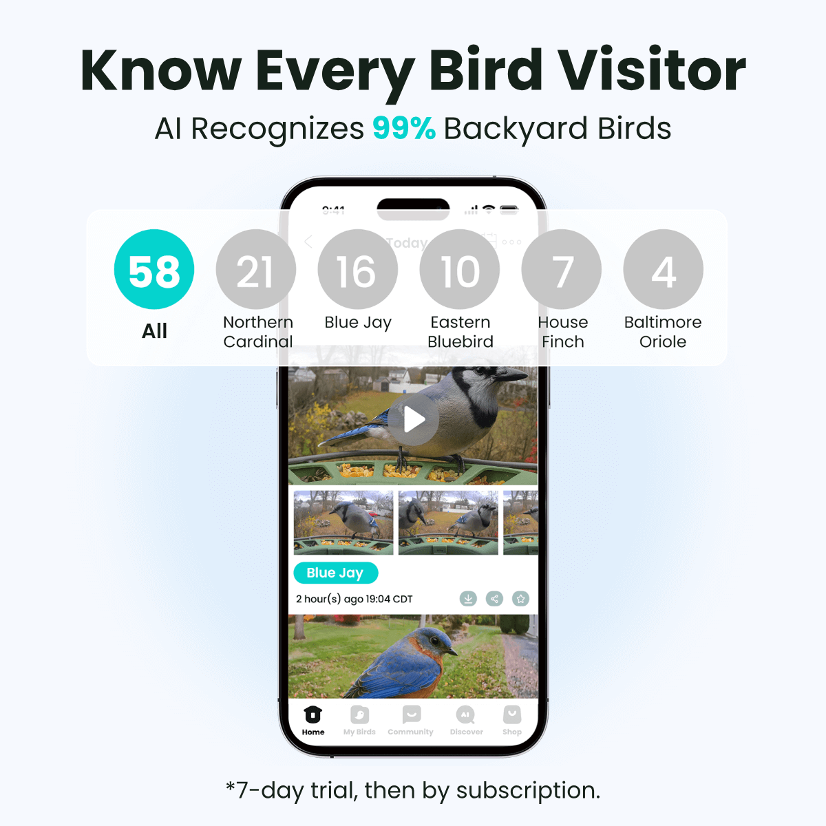 Birdfy Feeder 2 - Smart Bird Feeder