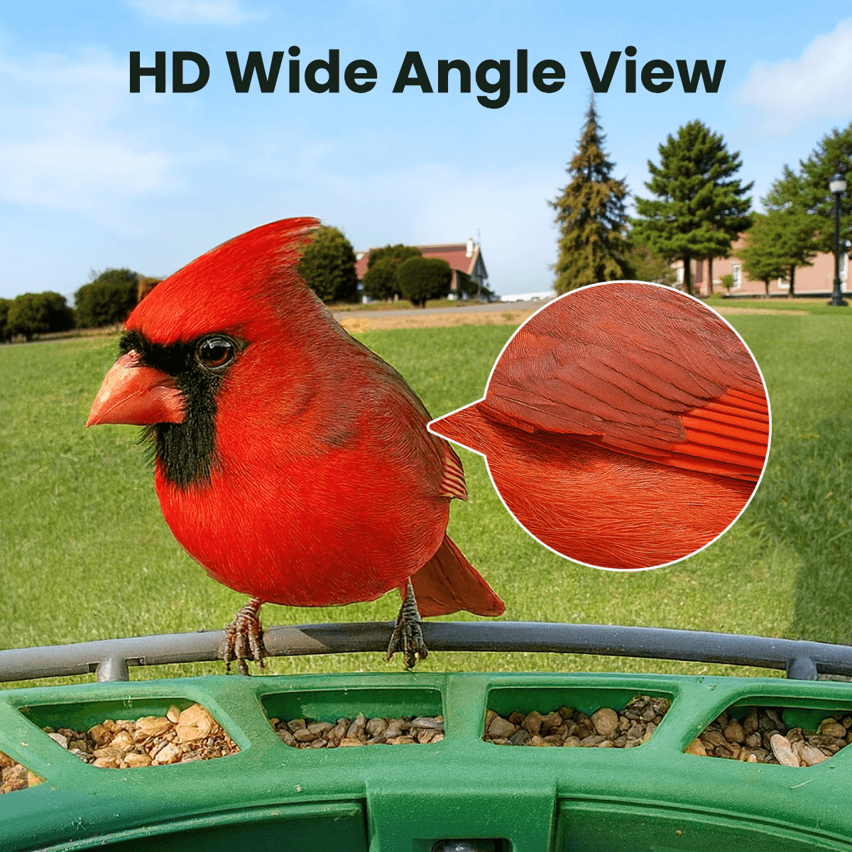 Birdfy Feeder 2 - Smart Bird Feeder