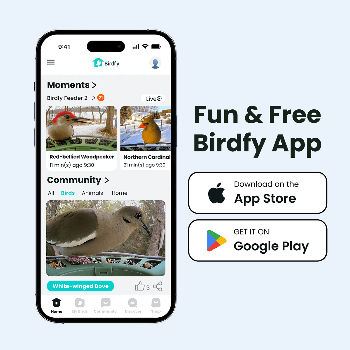 Birdfy Feeder 2 - Smart Bird Feeder
