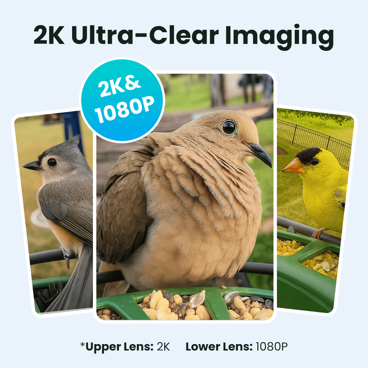 Birdfy Feeder 2 Pro - Dual-Lens Smart Bird Feeder with Camera