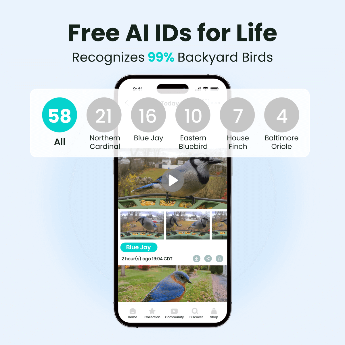 Birdfy Feeder 2 Pro - Dual-Lens Smart Bird Feeder with Camera