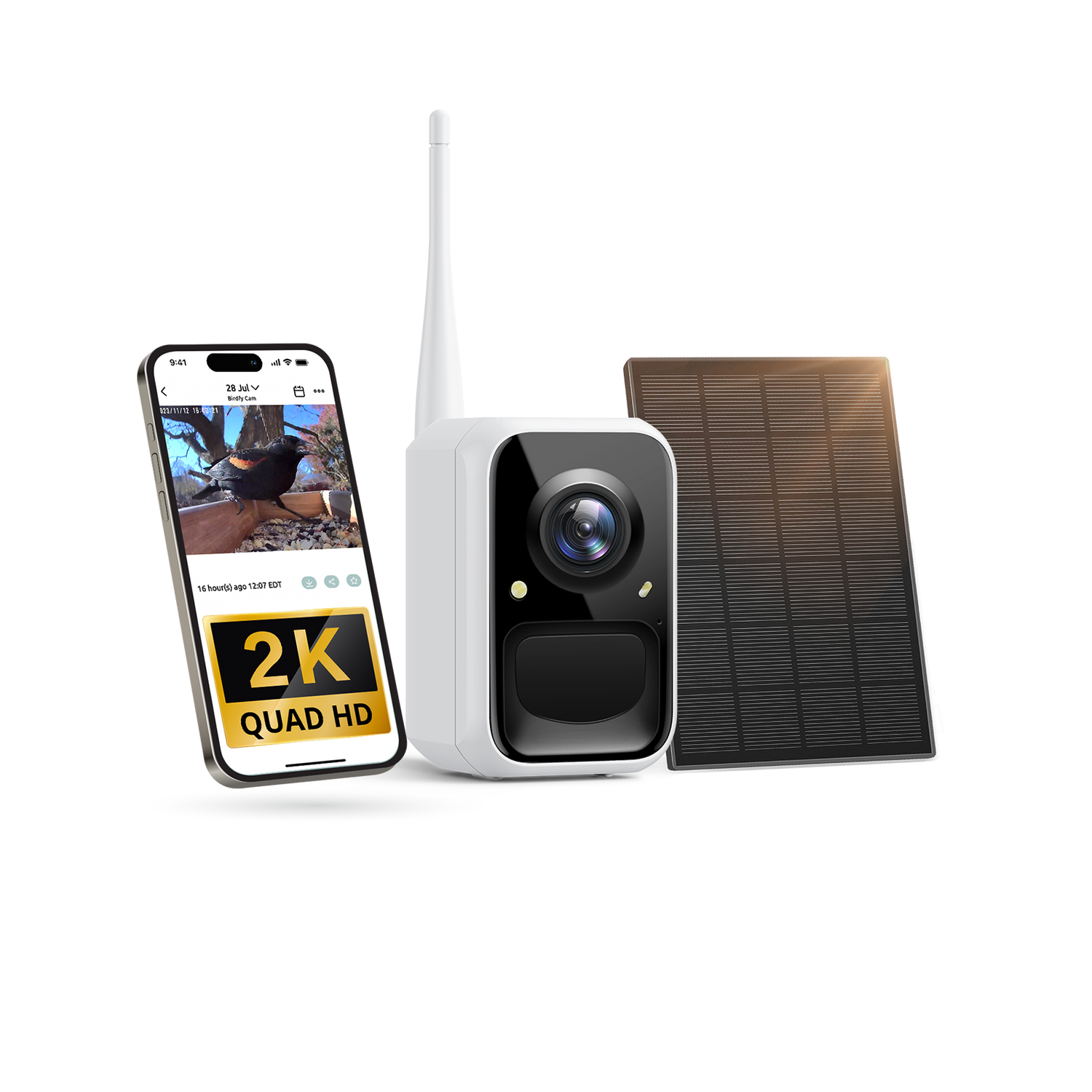 Birdfy Cam - Versatile Standalone Backyard Birdwatching Camera