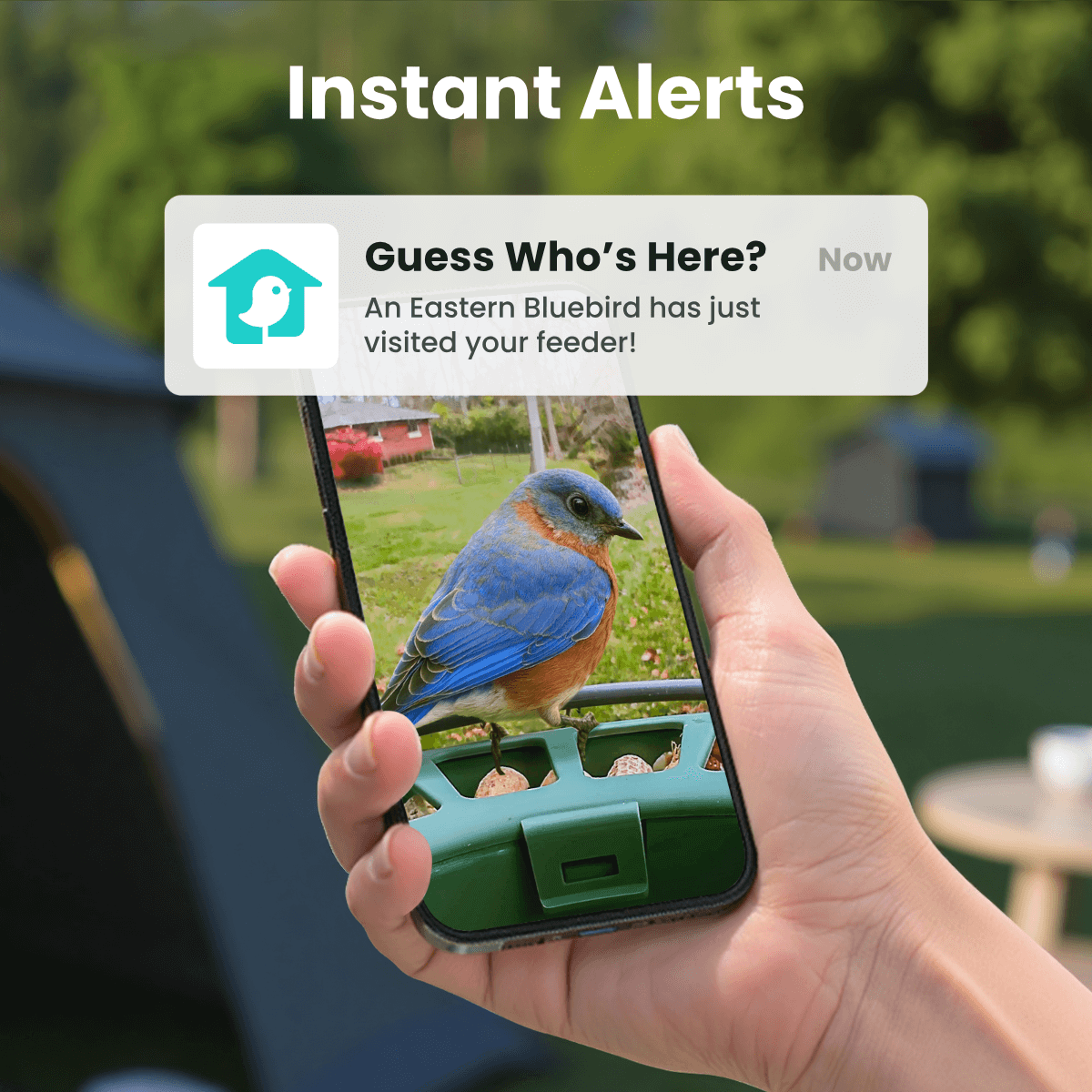 Birdfy Feeder 2 - Smart Bird Feeder