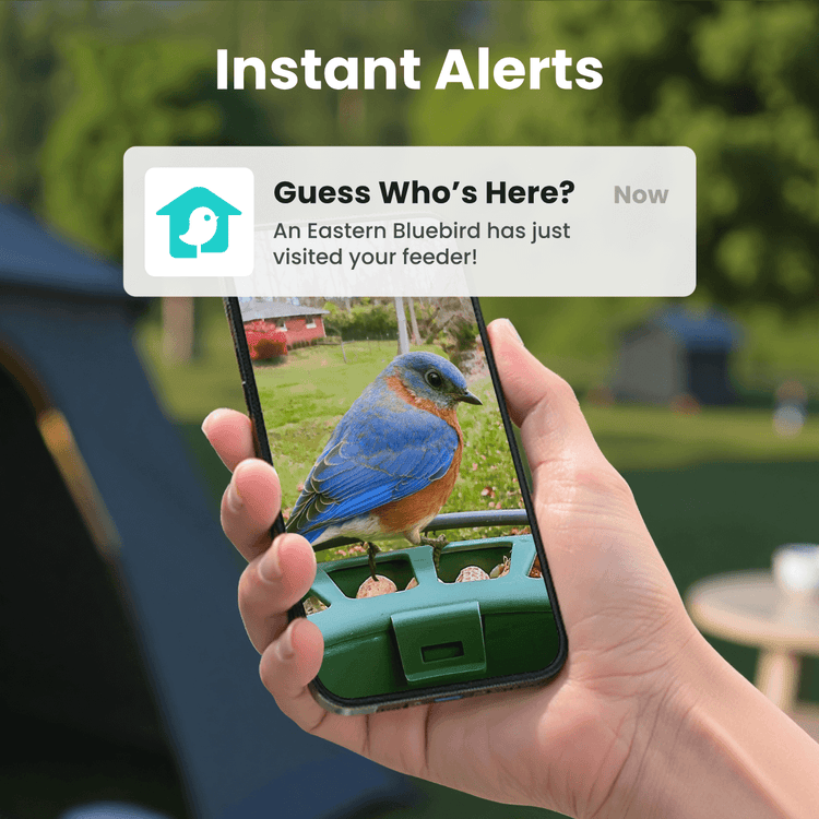 Birdfy Feeder 2 - Smart Bird Feeder