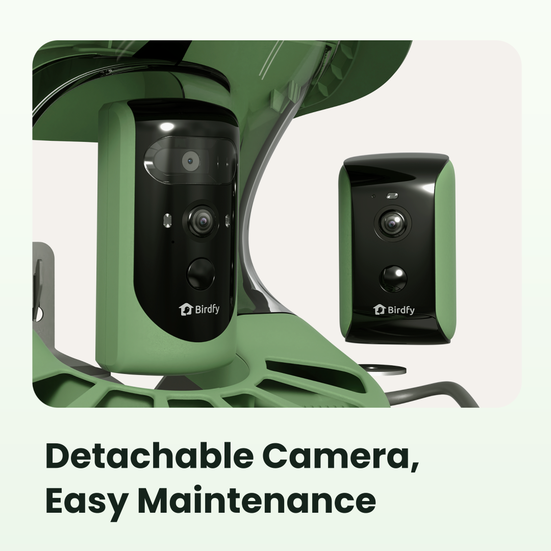 Birdfy feeder2 duo