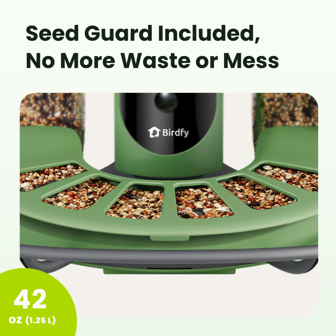 Birdfy feeder2 duo