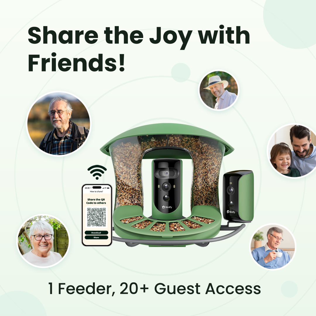 Birdfy feeder2 duo