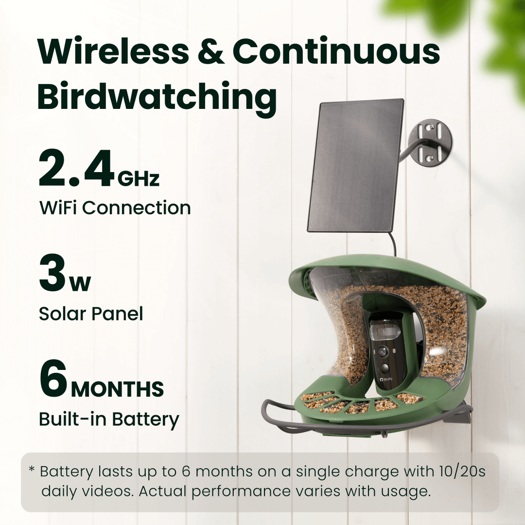 Birdfy feeder2 pro