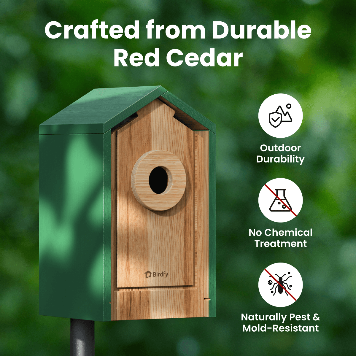 Birdfy Nest Cedar - Smart Bird House with Camera