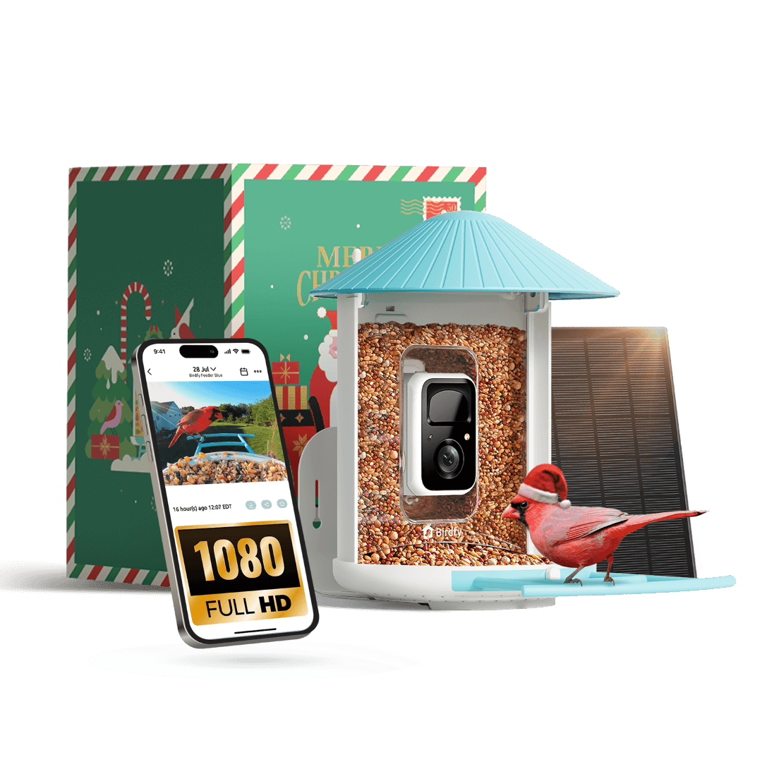 Birdfy Feeder with Solar Panel - Solar-Powered Smart Bird Feeder with Camera