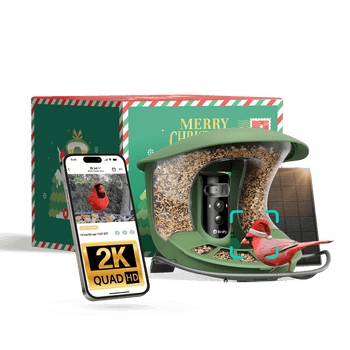 Birdfy Feeder 2 Pro