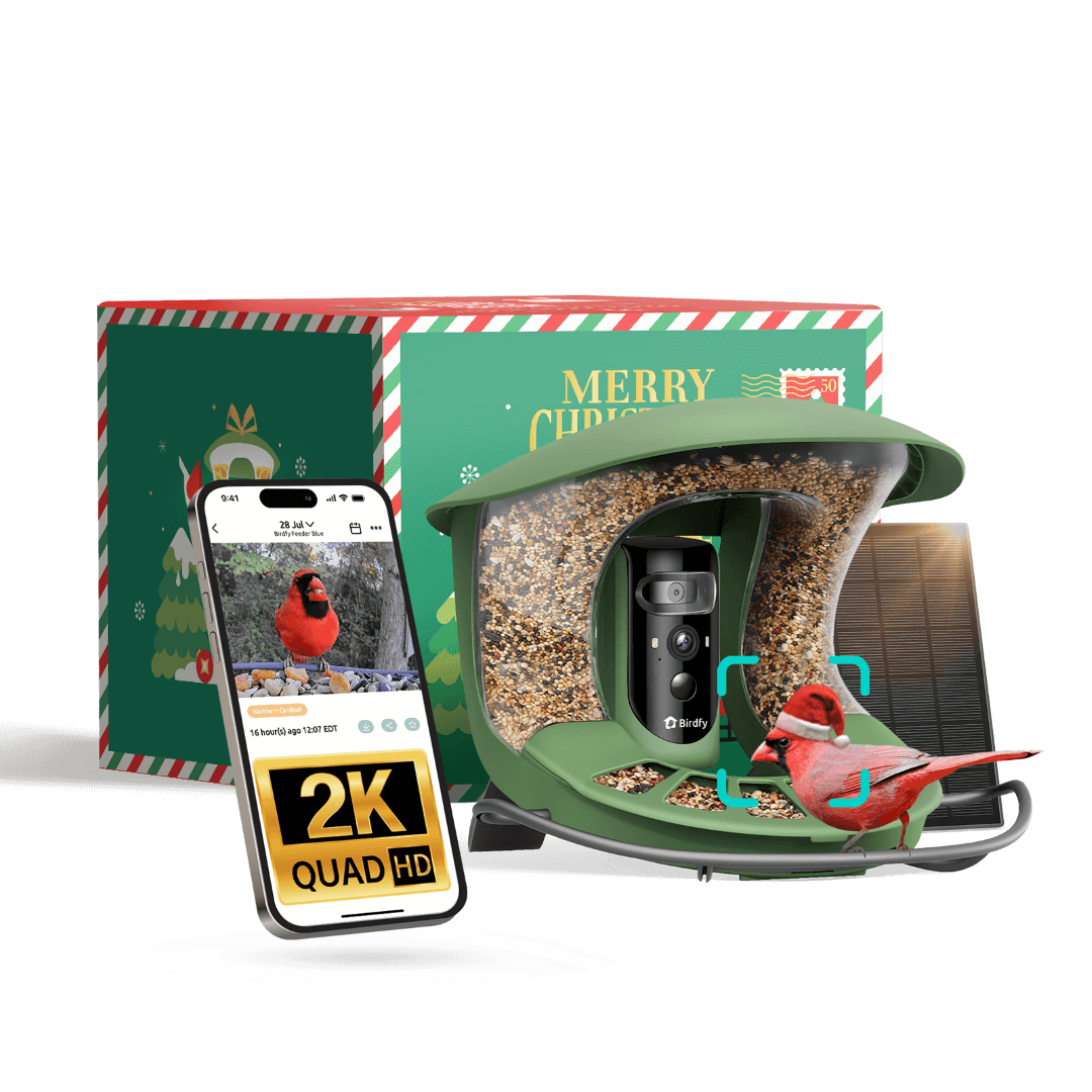 Birdfy Feeder 2 Pro - Dual-Lens Smart Bird Feeder with Camera