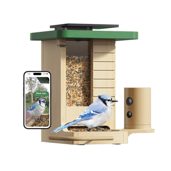 Birdfy Feeder Wood