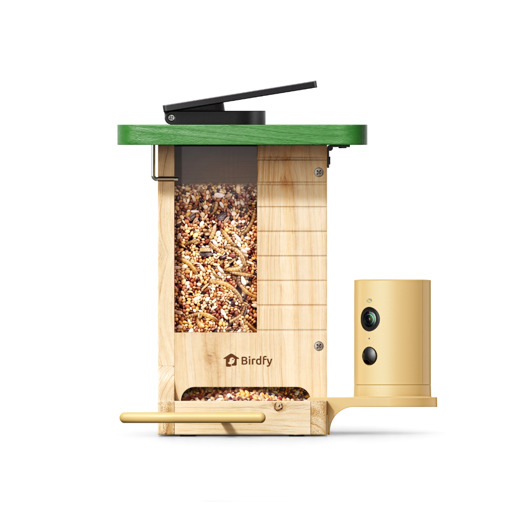 Birdfy Feeder Wood - Limited Gift Set | Smart Bird Feeder with Camera
