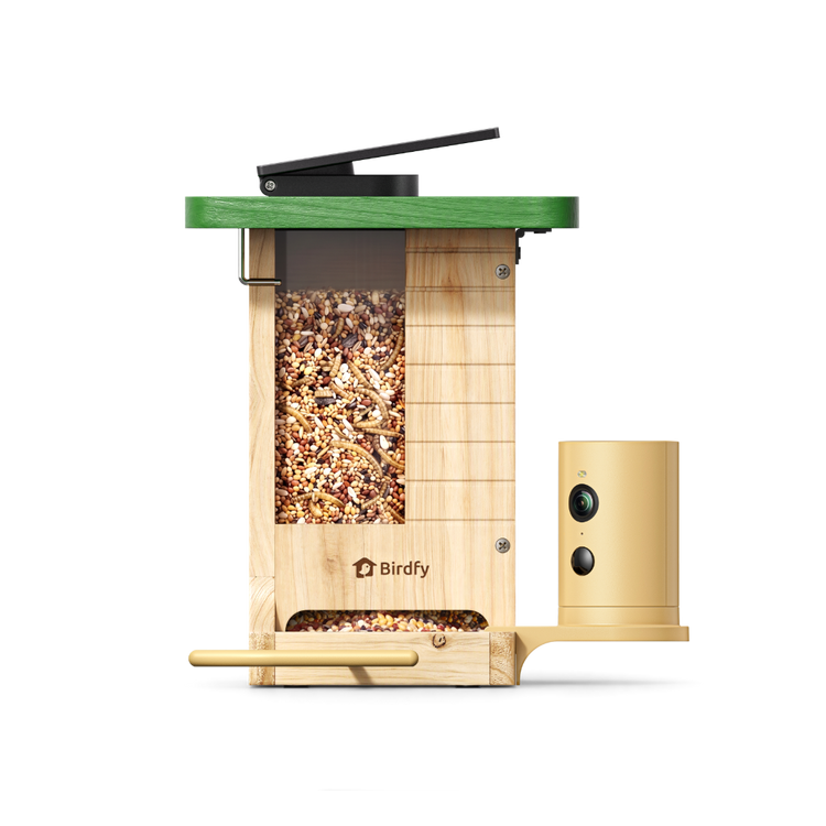 Birdfy Feeder Wood - Limited Gift Set | Smart Bird Feeder with Camera
