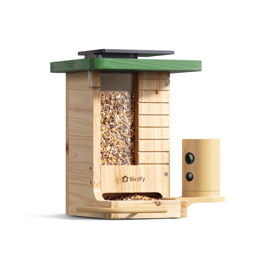 Birdfy Feeder Wood - Wooden Smart Bird Feeder with Camera