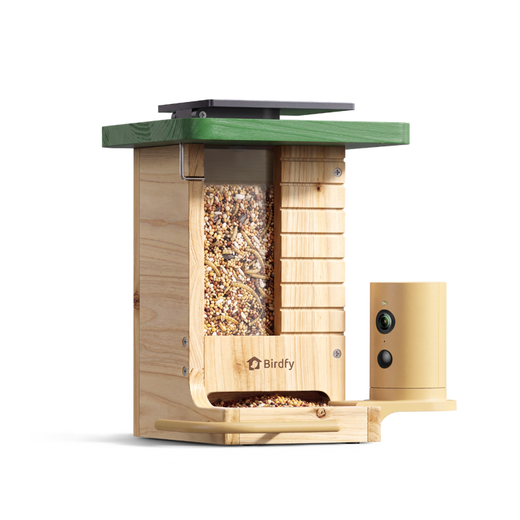 Birdfy Feeder Wood + 1 Year Plus Membership