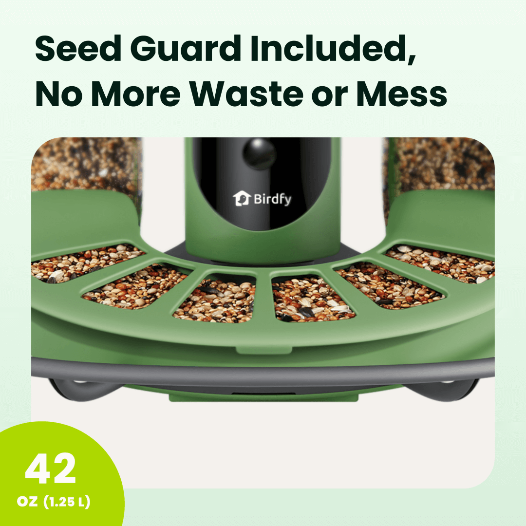 Birdfy feeder2 pro