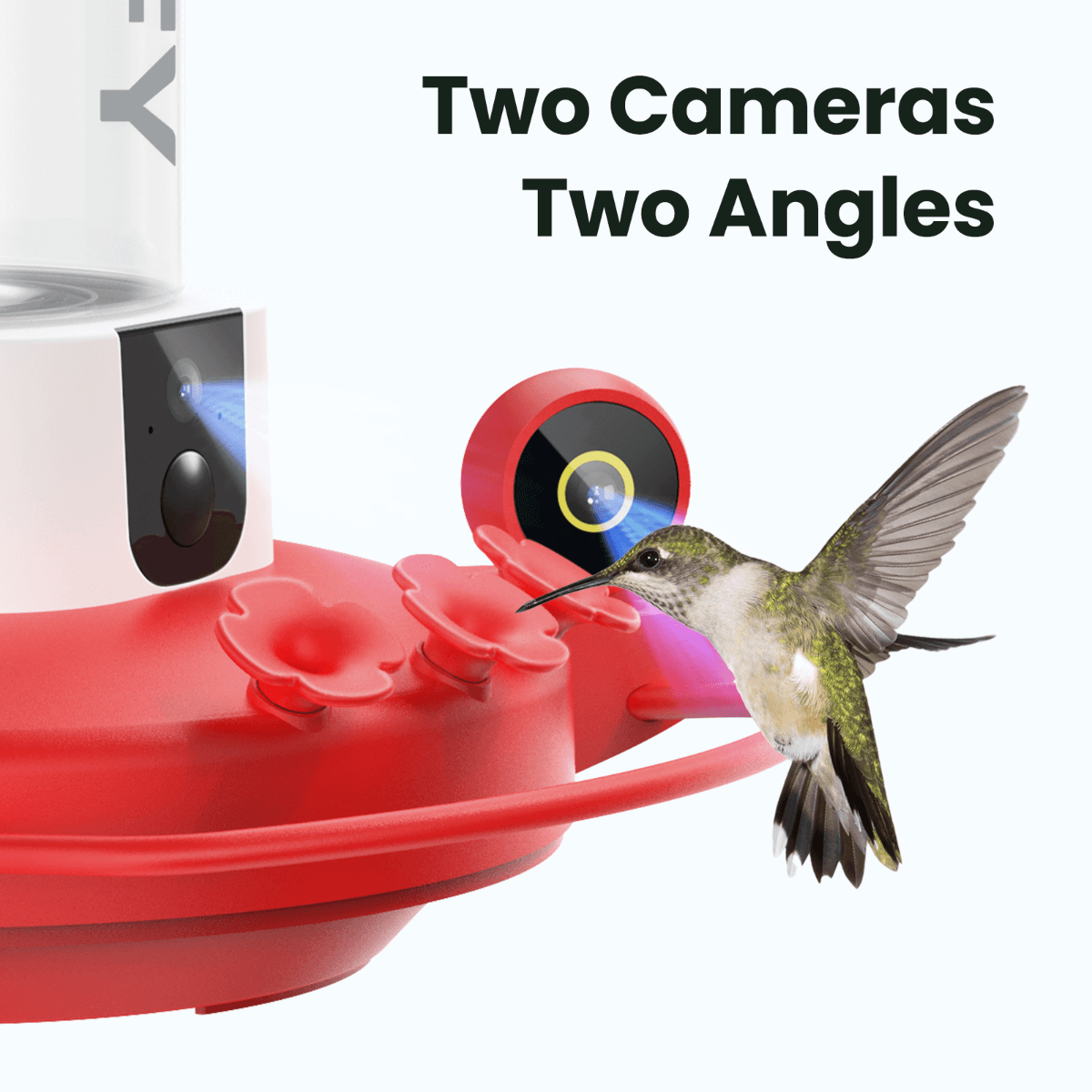 Birdfy Hum Feeder Duo - Hummingbird Feeder with Dual Camera