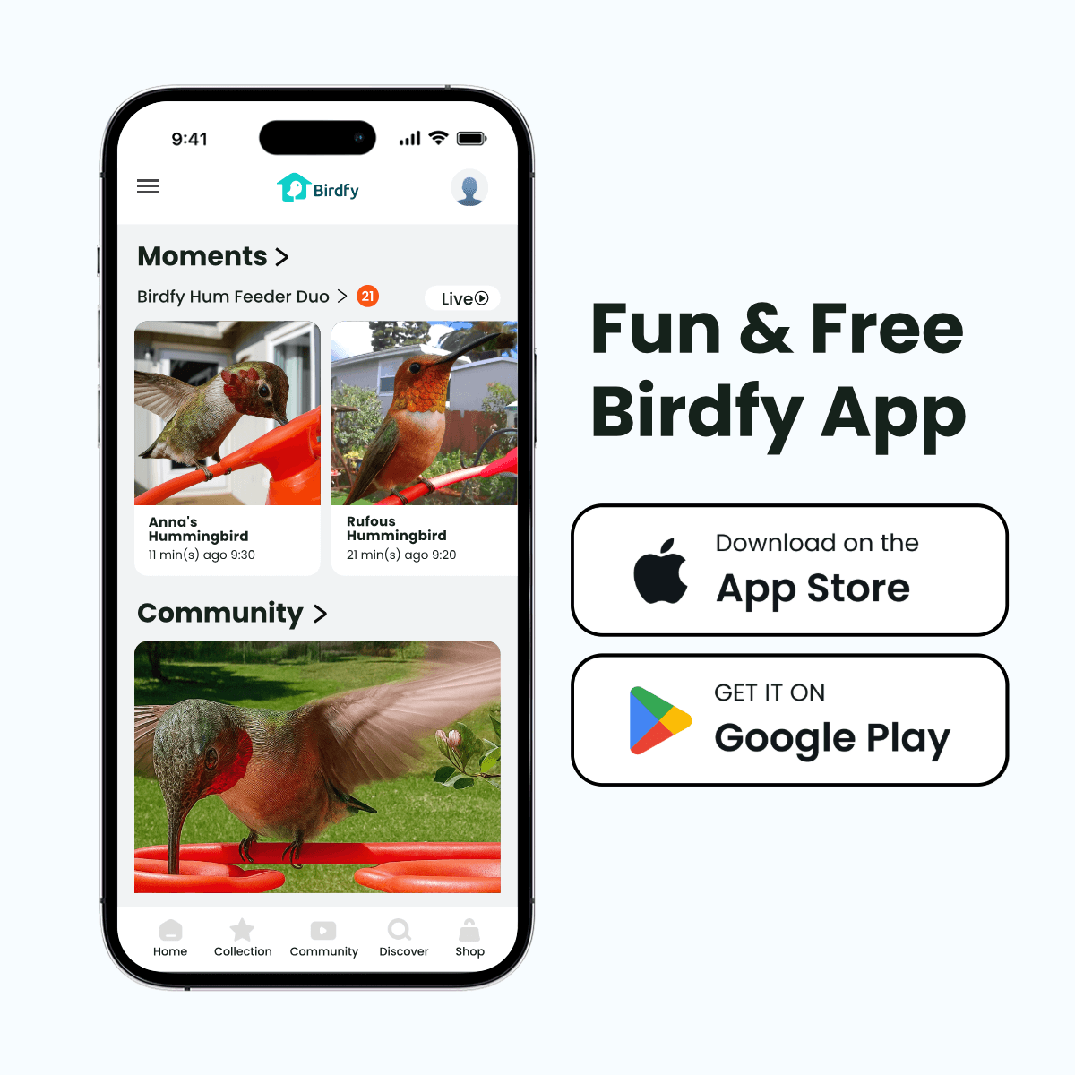 Birdfy Hum Feeder Duo + 1 Year Plus Membership